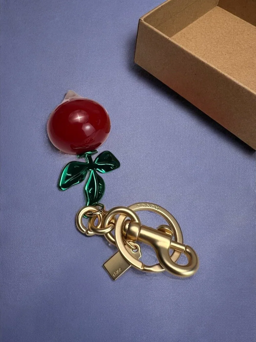 🌸Coach Red and Green Keychain